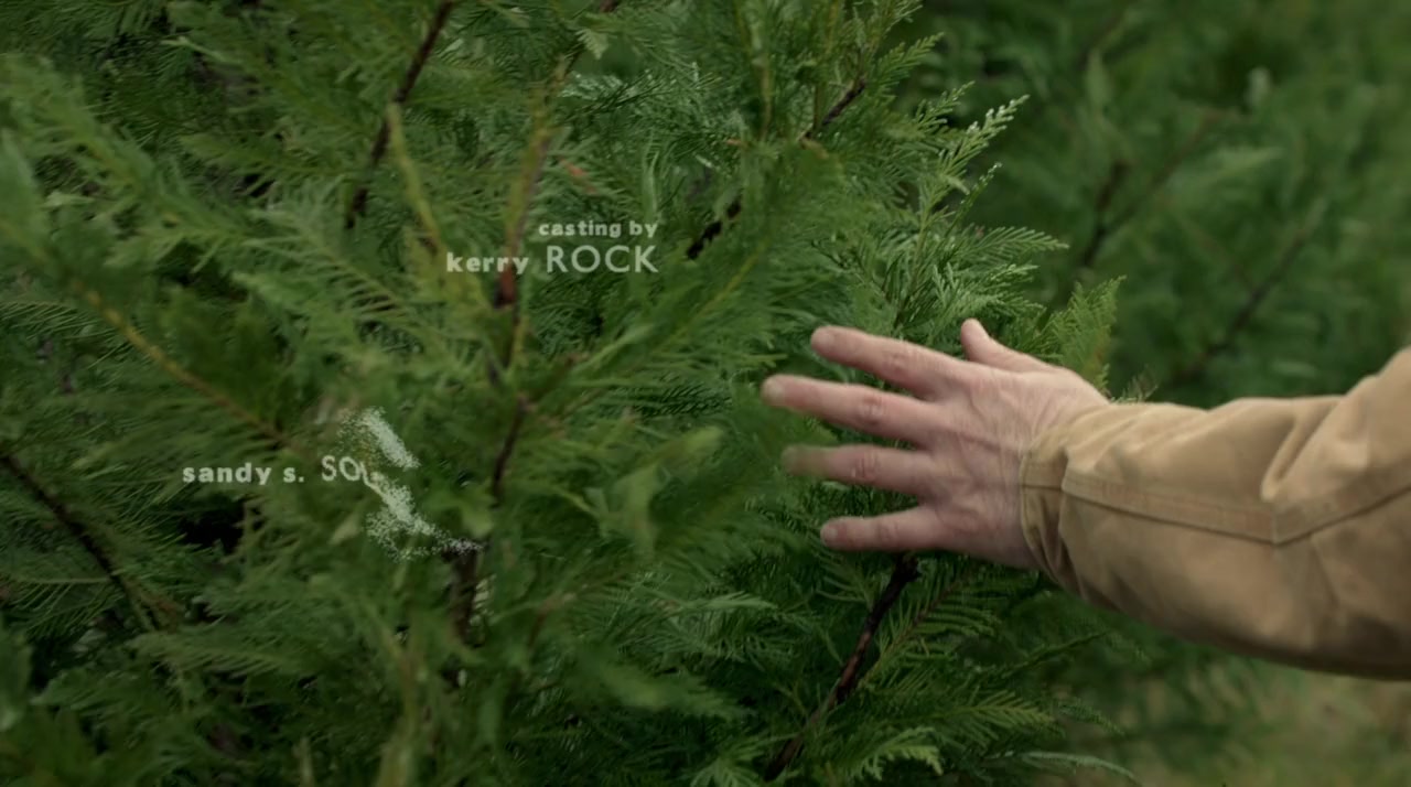 An Evergreen Christmas screenshot 2