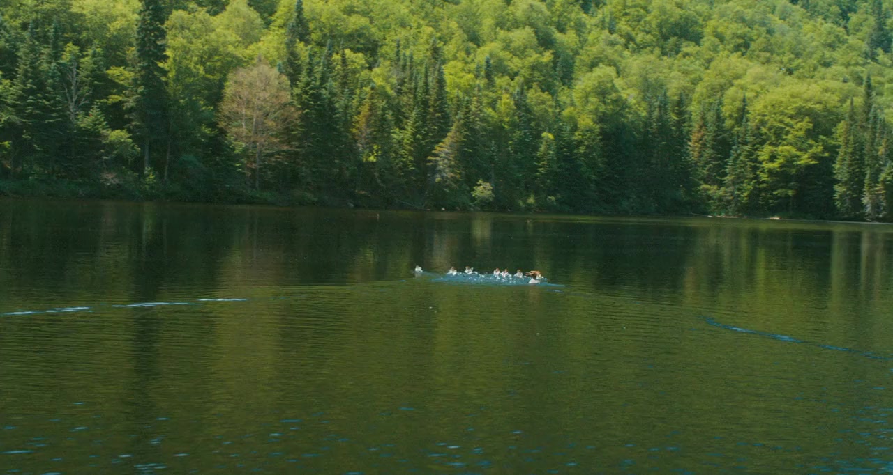 Le règne de la beauté screenshot 2