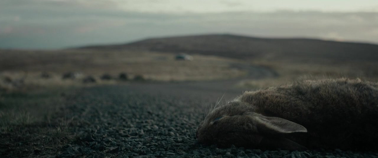 An Irish Goodbye screenshot 3