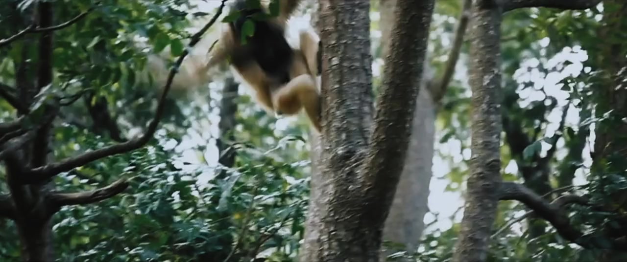 Anaconda screenshot 2