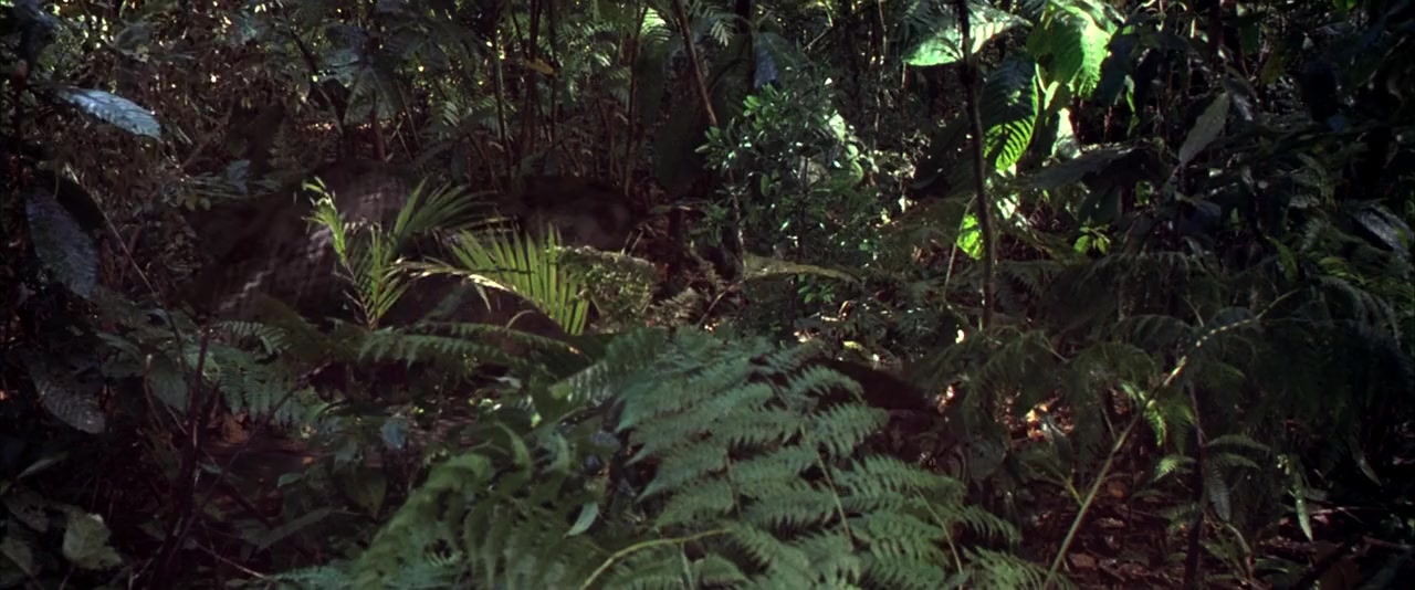 Anacondas: The Hunt for the Blood Orchid screenshot 1