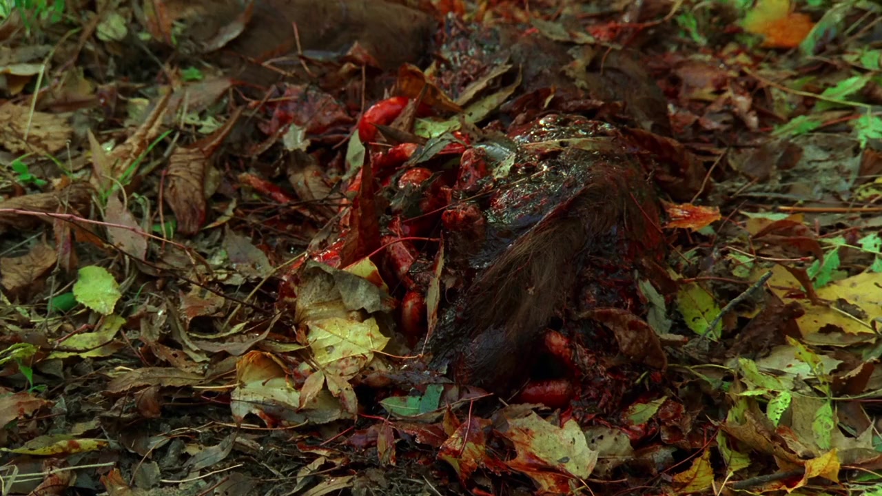 Anacondas 4: Trail of Blood screenshot 3