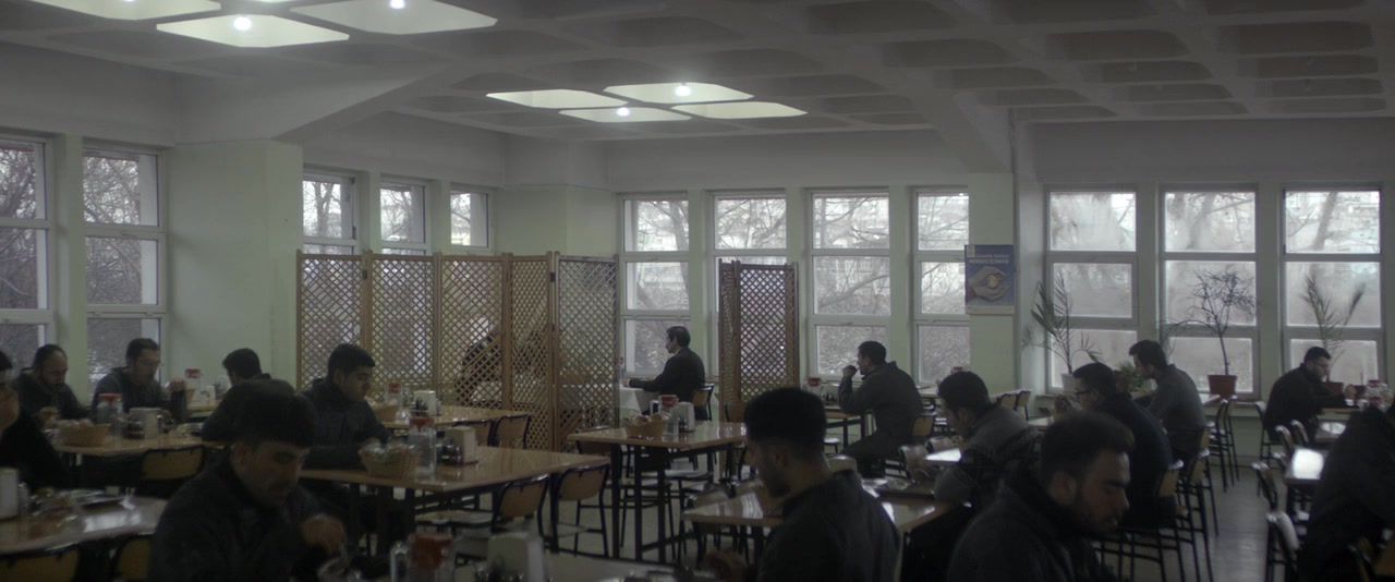 Anadolu Leopari screenshot 3