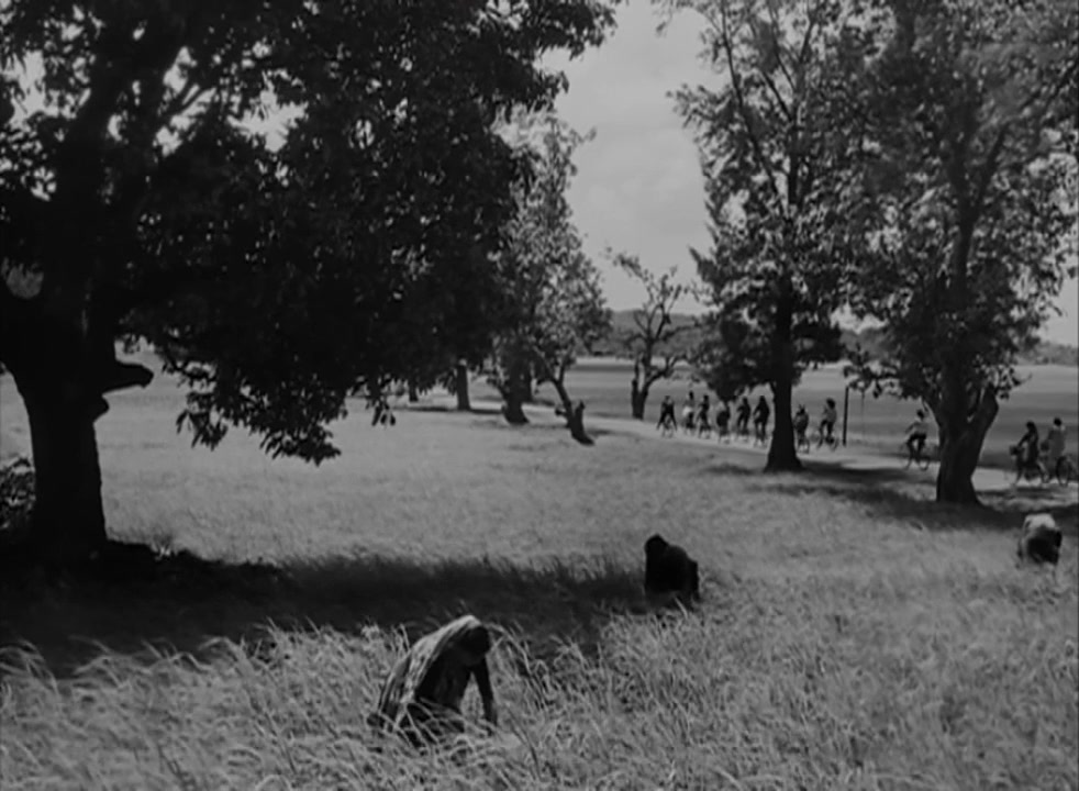 Anari screenshot 3