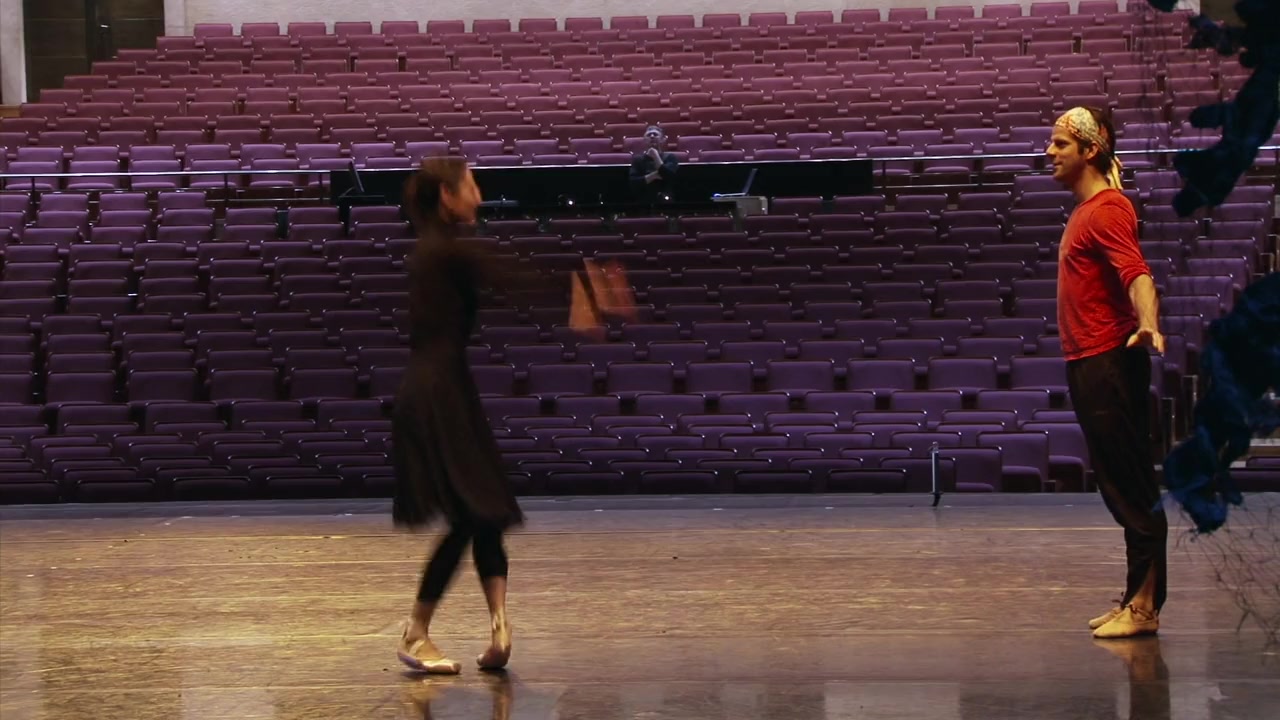 Anatomy of a Male Ballet Dancer screenshot 1