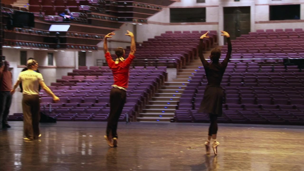 Anatomy of a Male Ballet Dancer screenshot 3