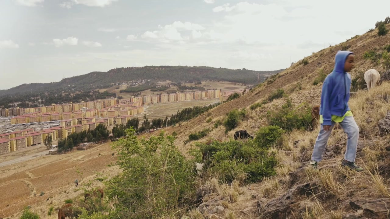 Anbessa screenshot 1