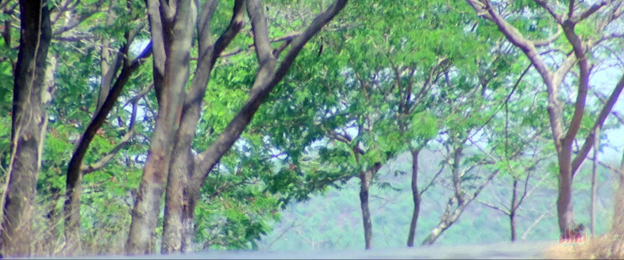 Andaz Apna Apna screenshot 2