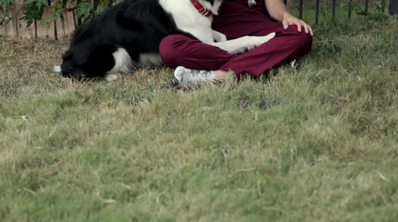 Angel Dog screenshot 1