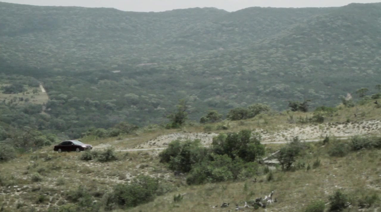 Angel Dog screenshot 2