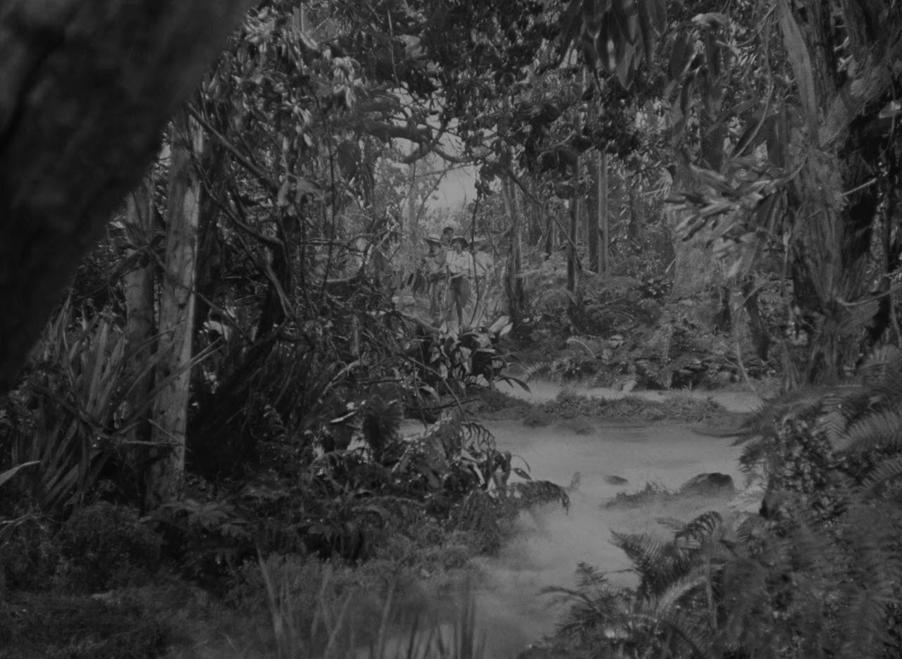 Angel on the Amazon screenshot 1