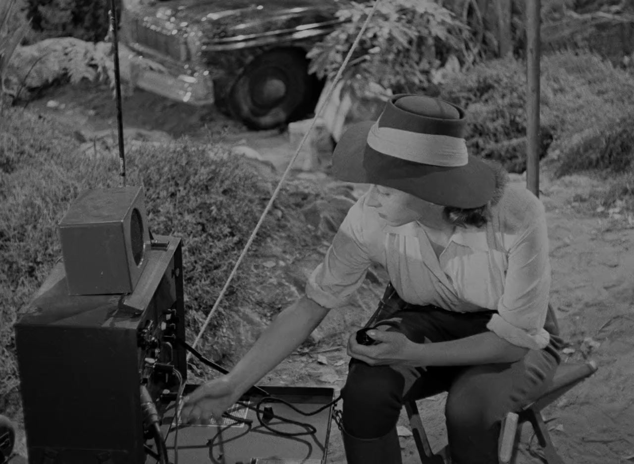 Angel on the Amazon screenshot 3
