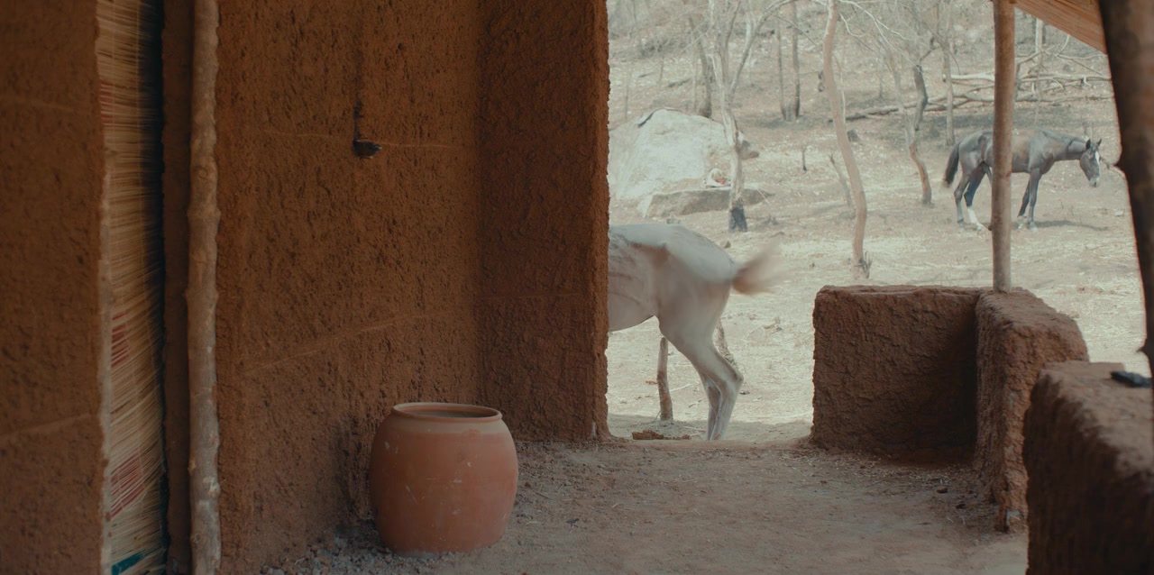 Anikulapo screenshot 2