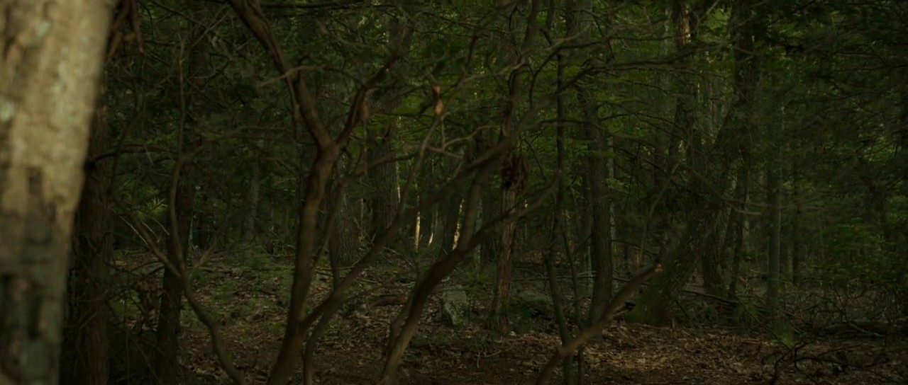 Animal screenshot 2
