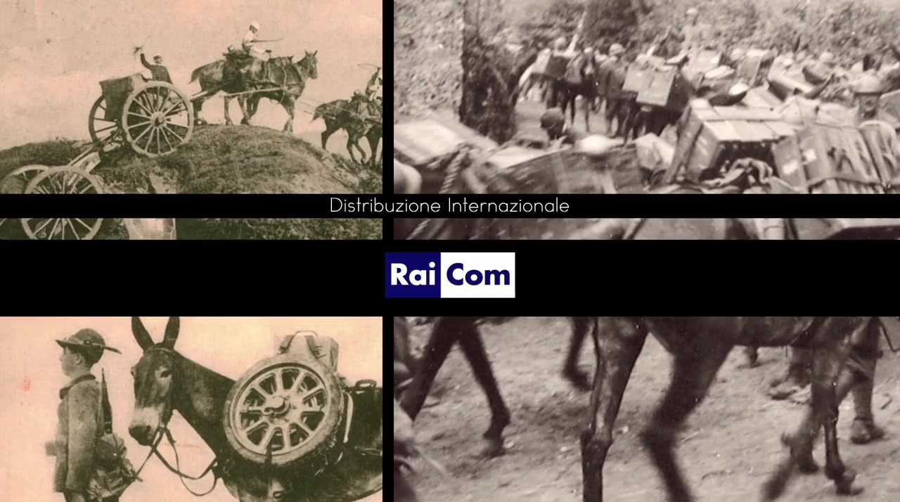 Animali nella Grande Guerra screenshot 1