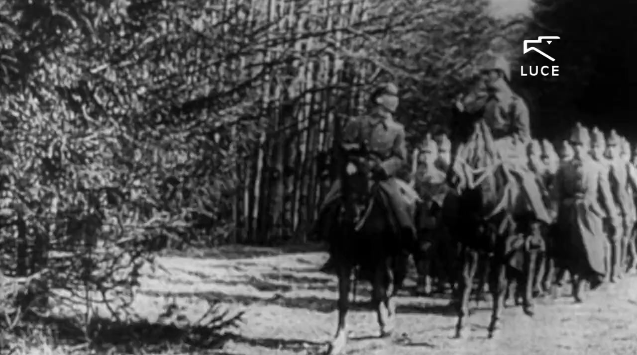 Animali nella Grande Guerra screenshot 3