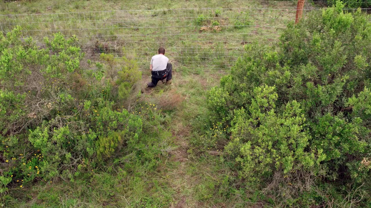 Animals on the Loose: A You vs. Wild Movie screenshot 1