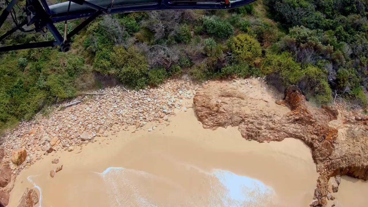 Animals on the Loose: A You vs. Wild Movie screenshot 2