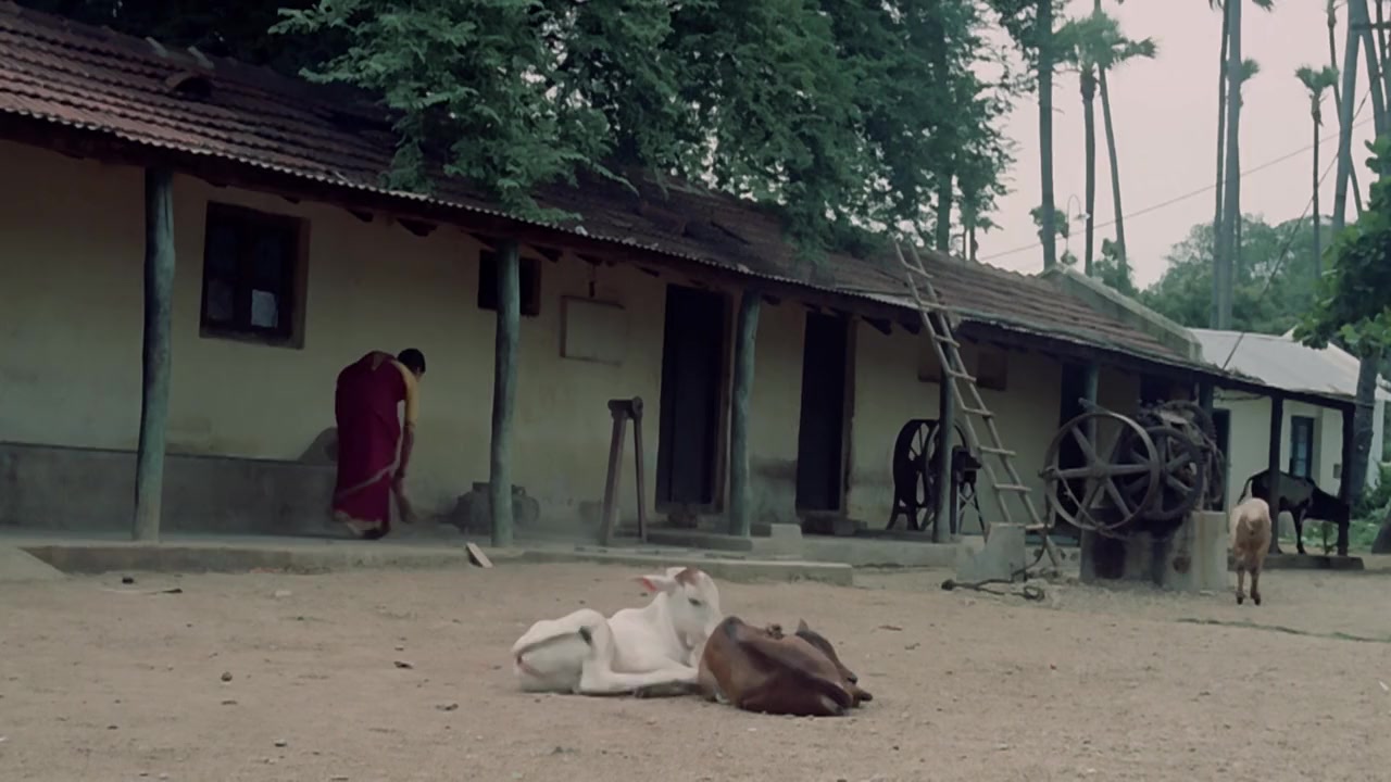 Ankur screenshot 3