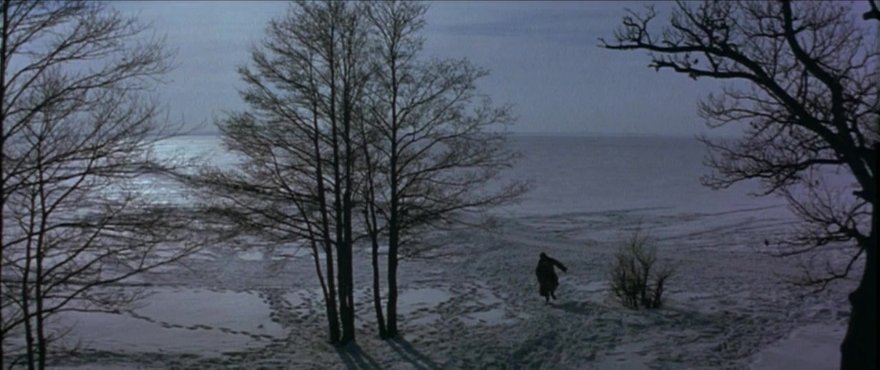 Anna Karenina screenshot 1