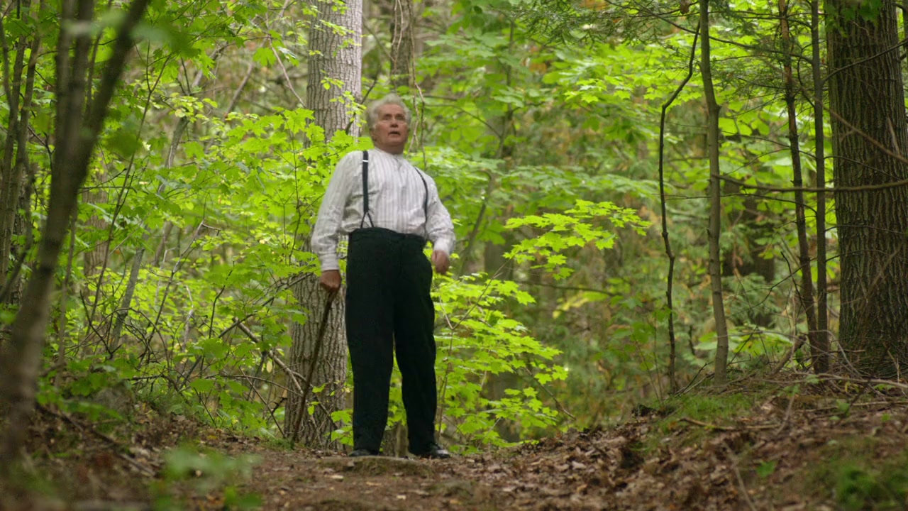 L.M. Montgomery's Anne of Green Gables: Fire & Dew screenshot 1