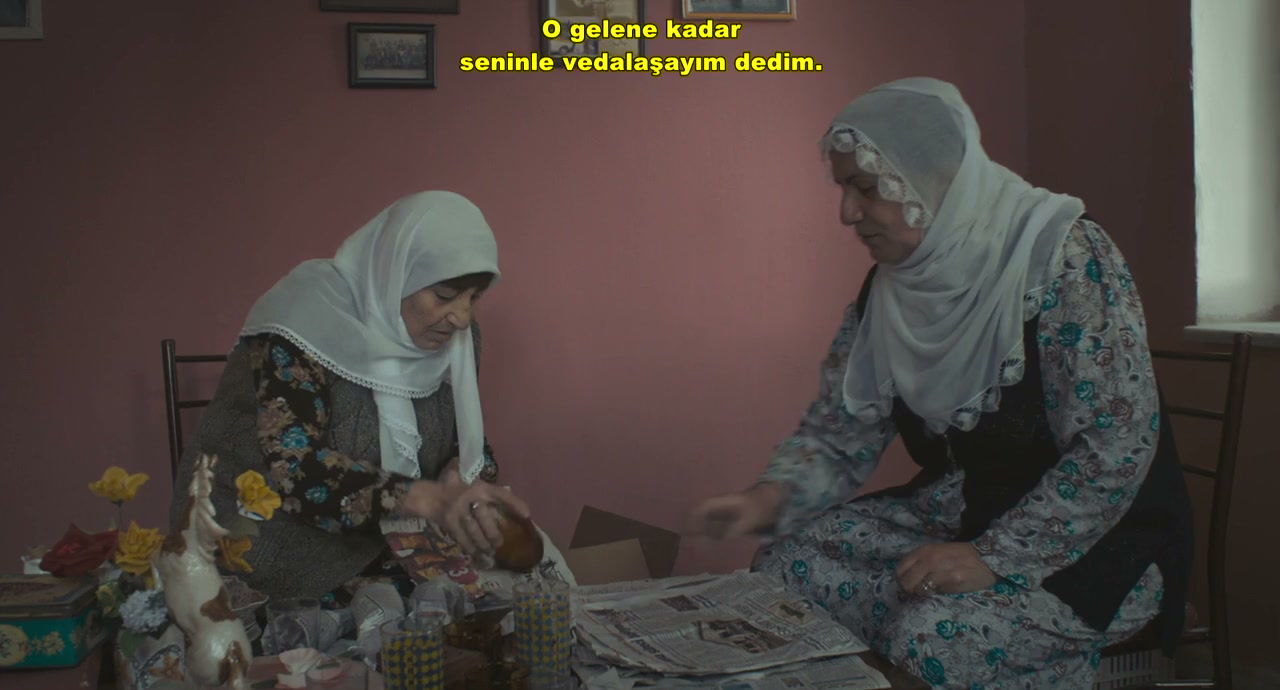 Annemin Sarkisi screenshot 3