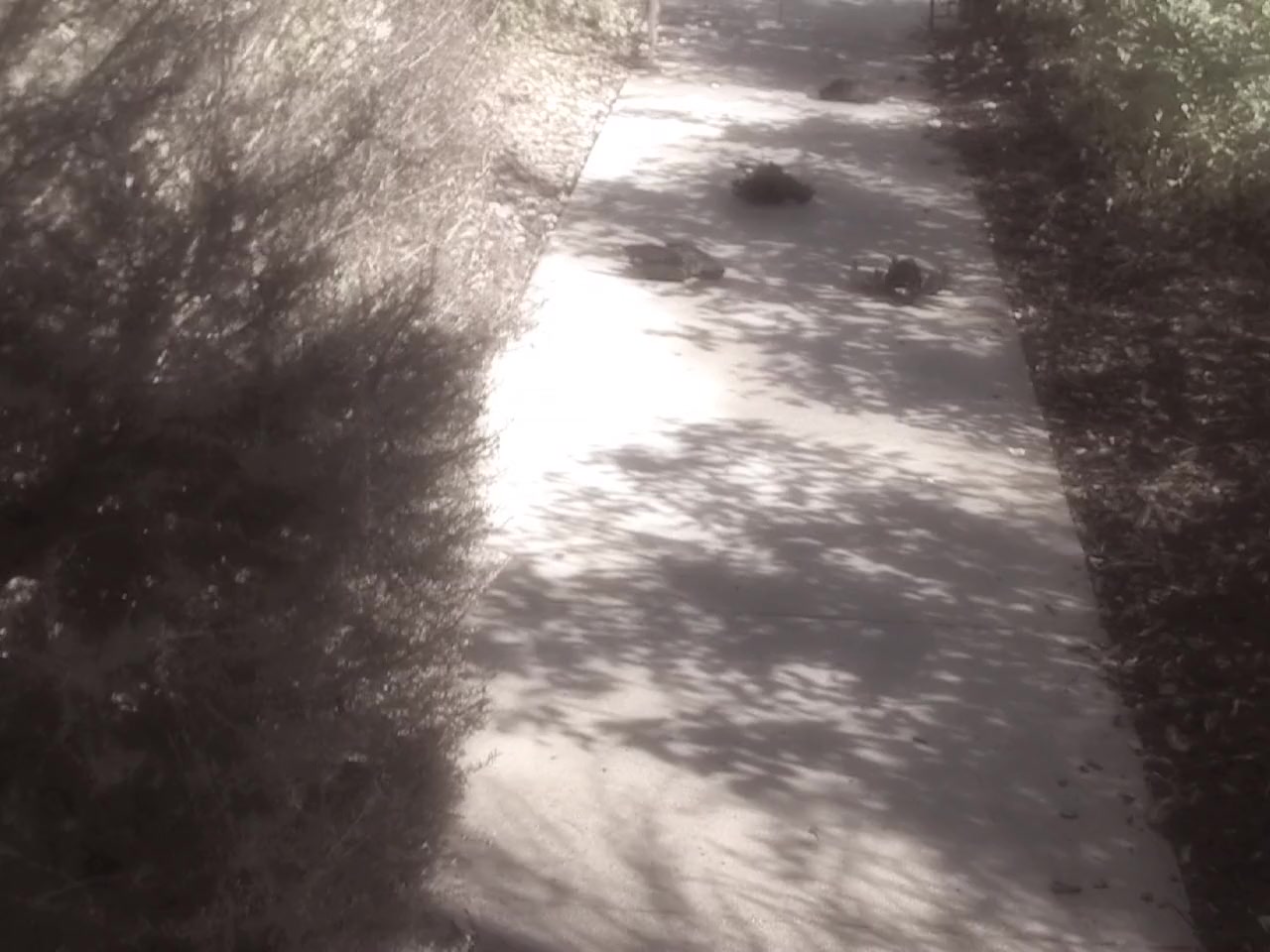 Anneliese: The Exorcist Tapes screenshot 2