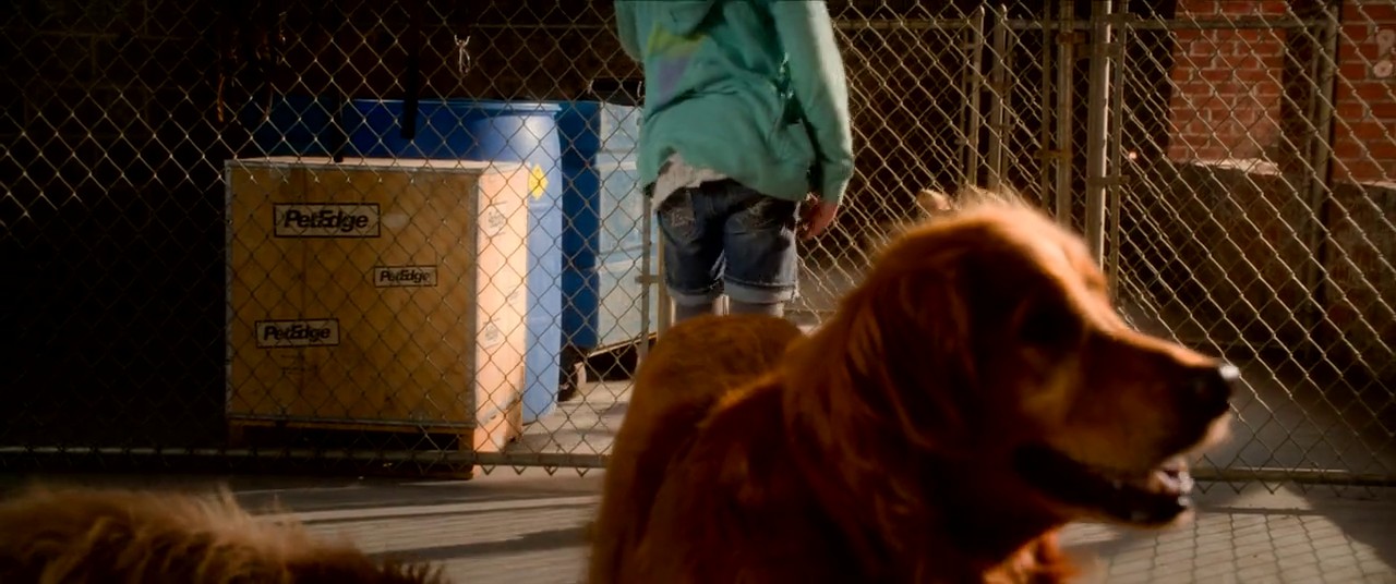 Annie screenshot 3