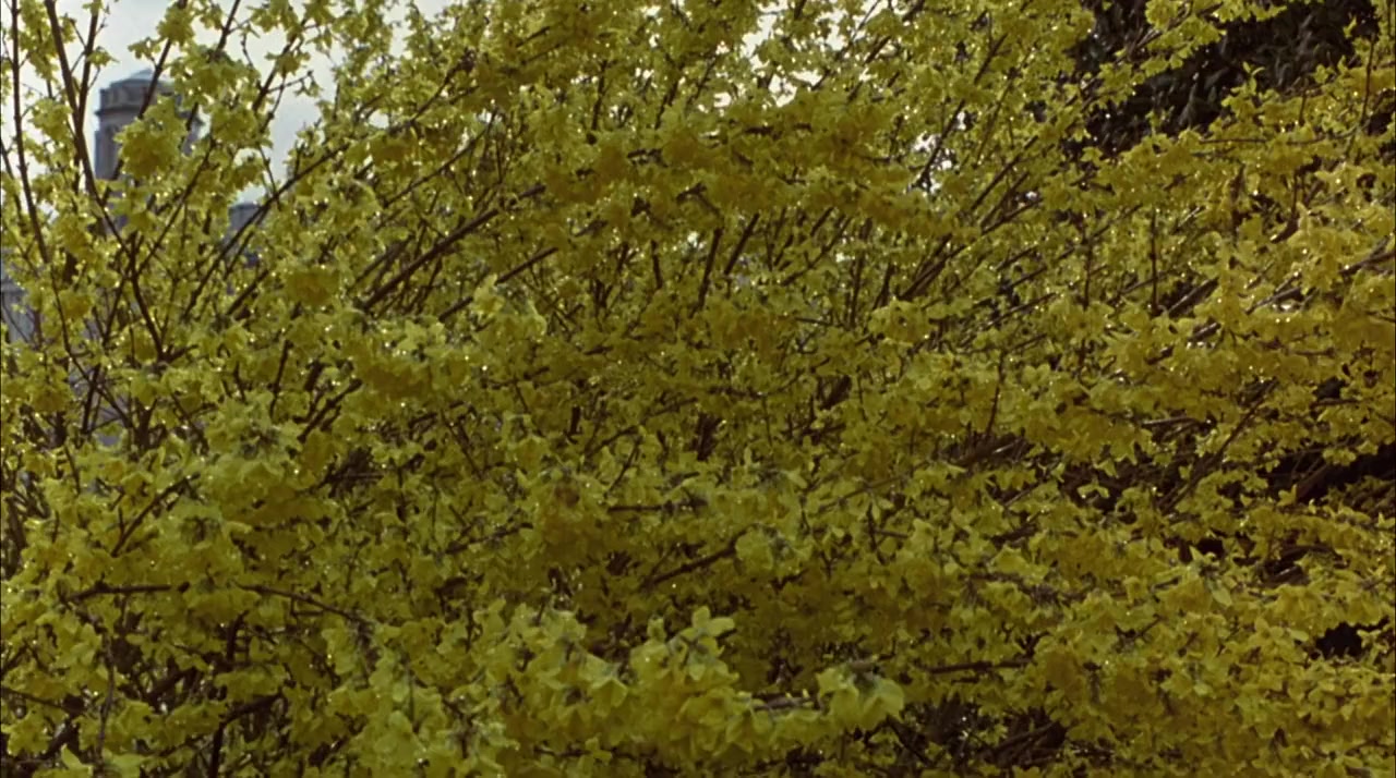 Annie O screenshot 1