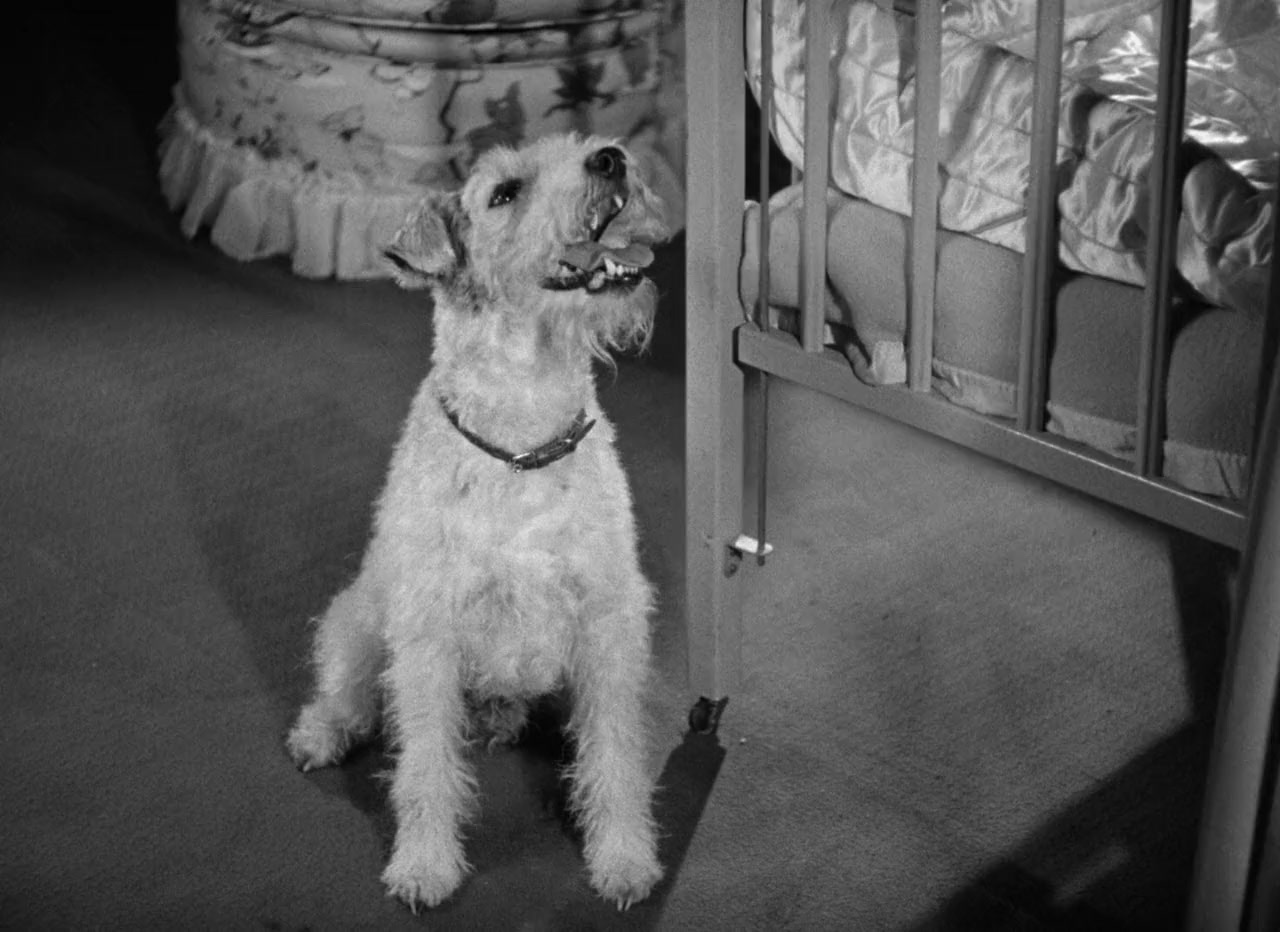 Another Thin Man screenshot 2