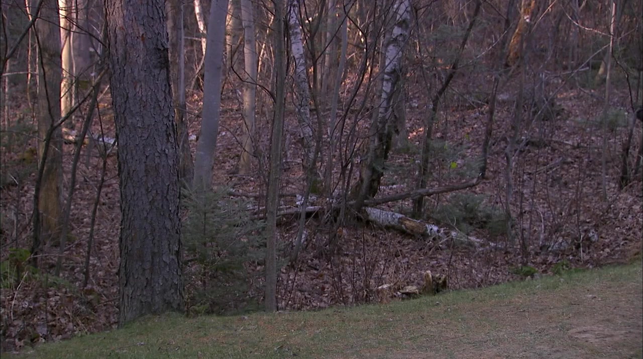 Another Man's Wife screenshot 1