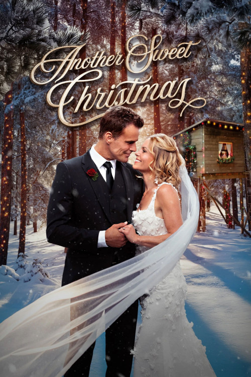 Another Sweet Christmas (2025) poster