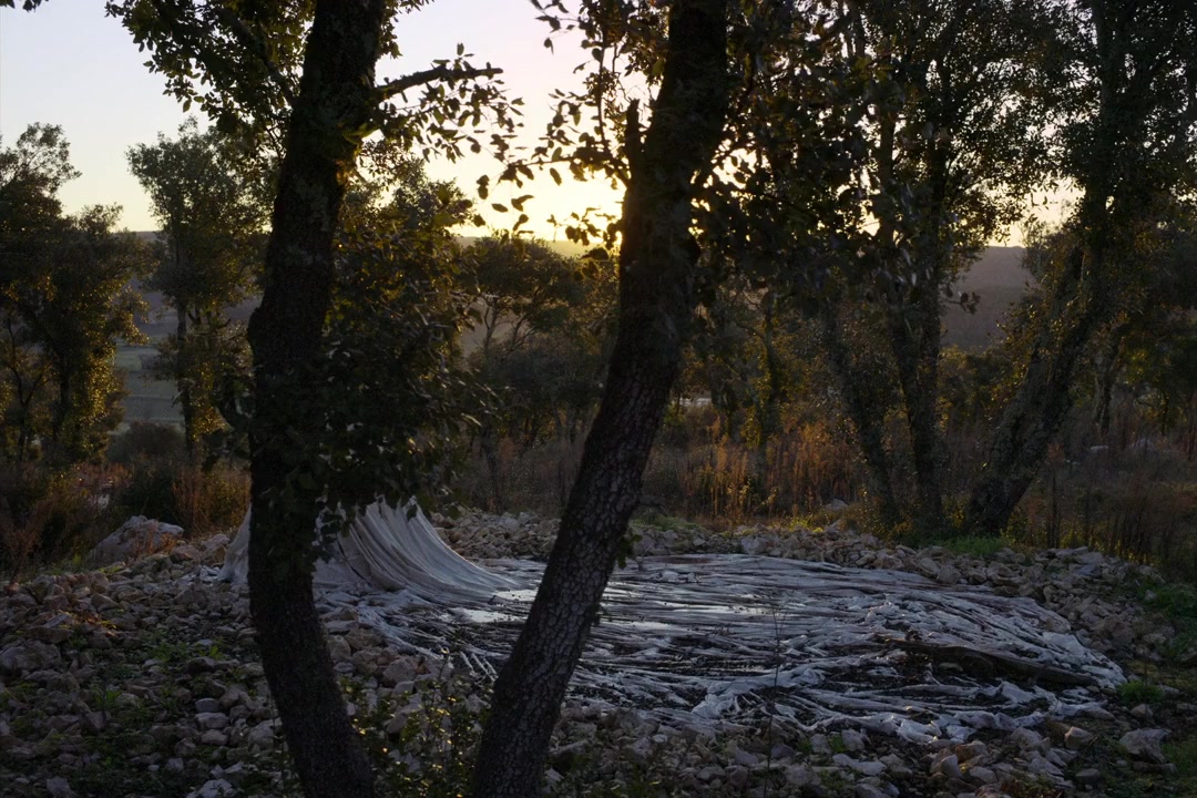 Anselm - Das Rauschen der Zeit screenshot 1