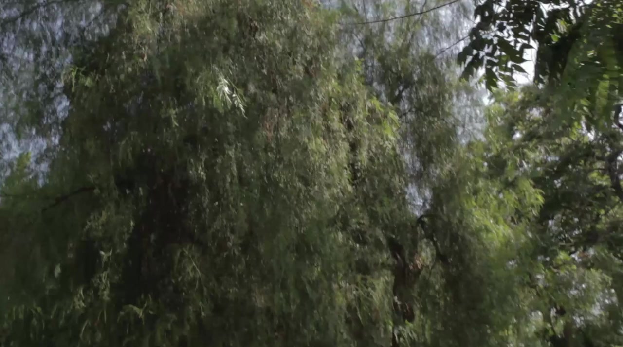Abashed screenshot 3