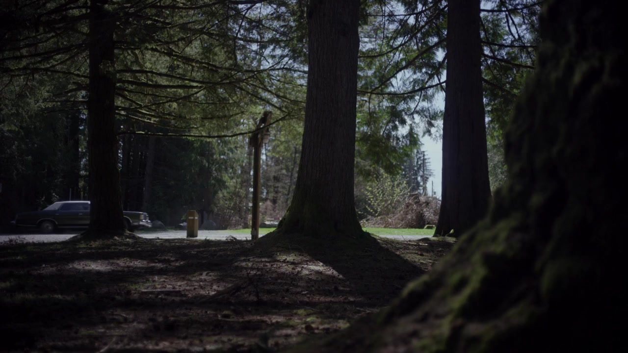 53 Days: The Abduction of Mary Stauffer screenshot 2