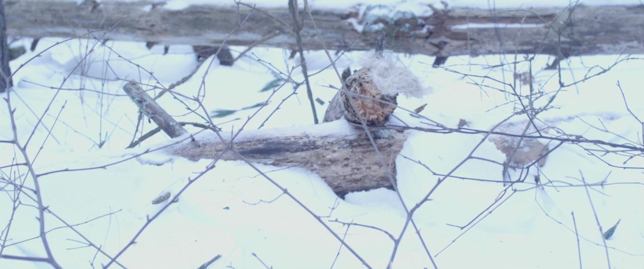 Abominable screenshot 2