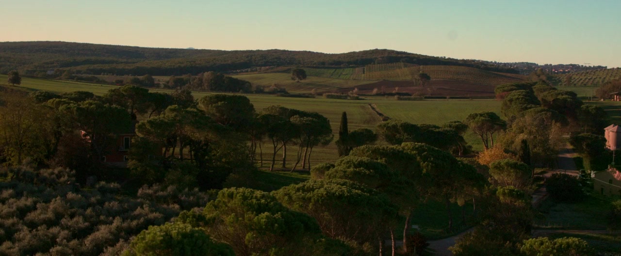 About Us screenshot 2
