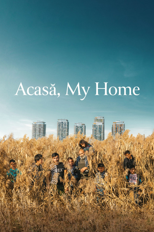 Acasa, My Home (2020) poster