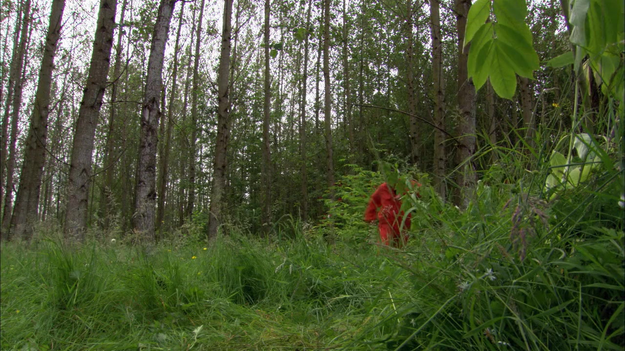 Ace of Hearts screenshot 1