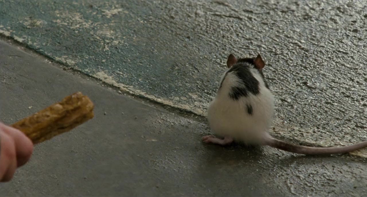 Ace Ventura: Pet Detective Jr. screenshot 2