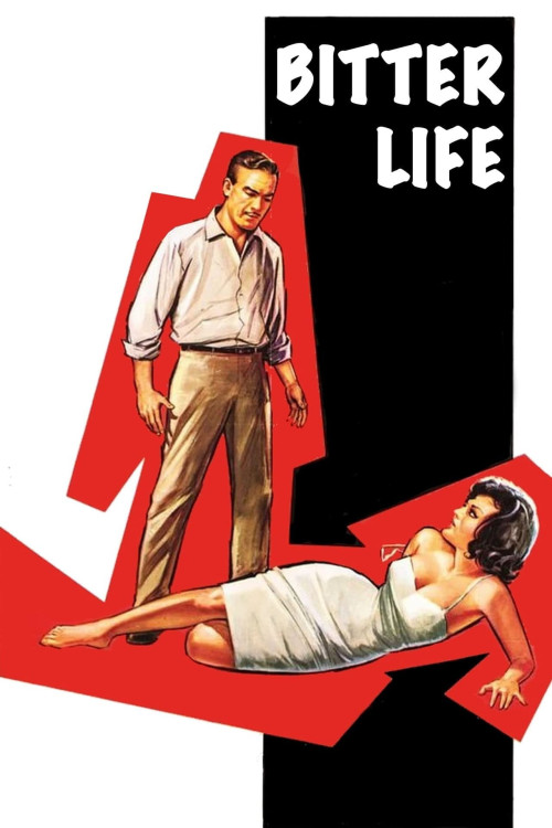 Aci Hayat (1962) poster
