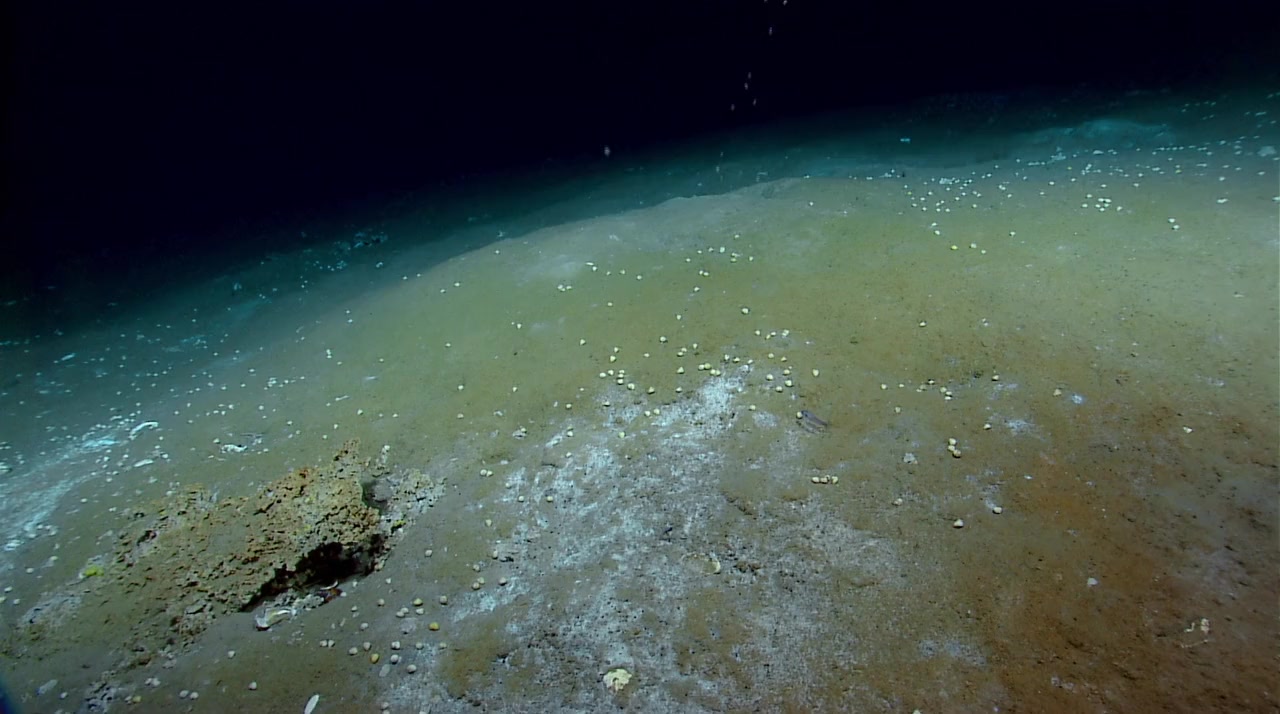 Acid Horizon screenshot 1