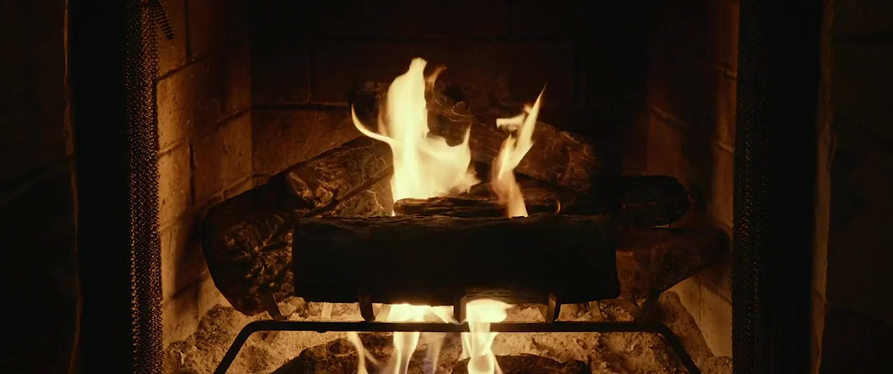 Adult Swim Yule Log 2: Branchin' Out screenshot 3