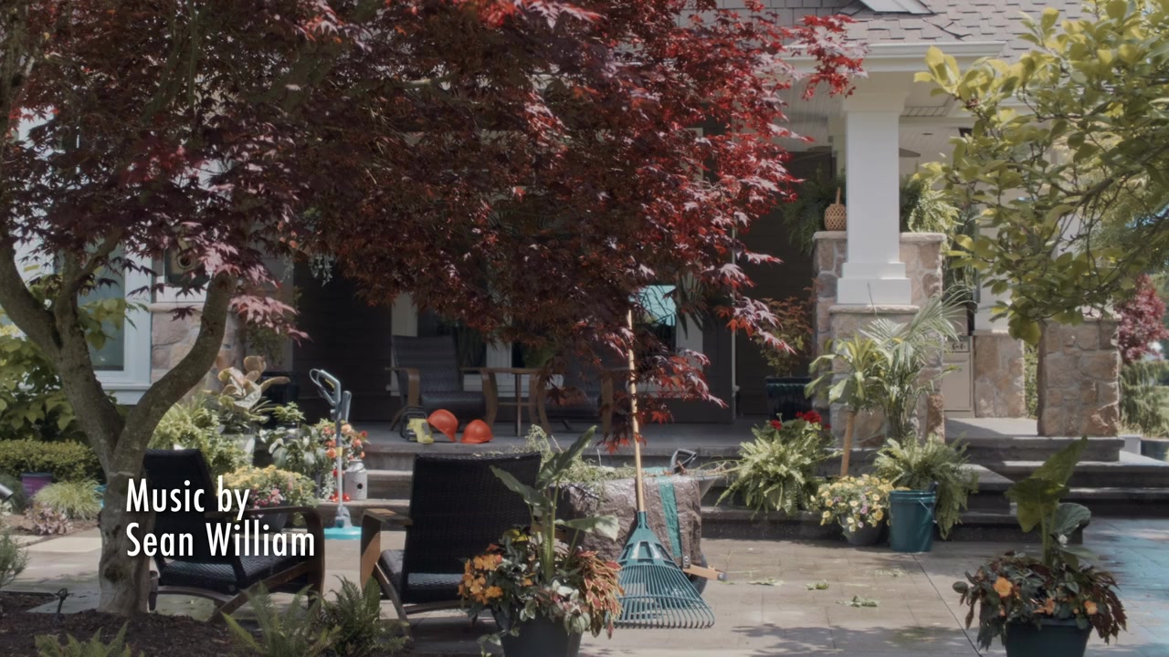 Adventures in Love & Birding screenshot 1