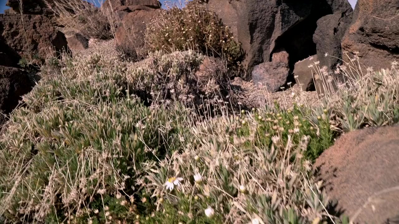 Adventures of the Crystal Skull screenshot 1