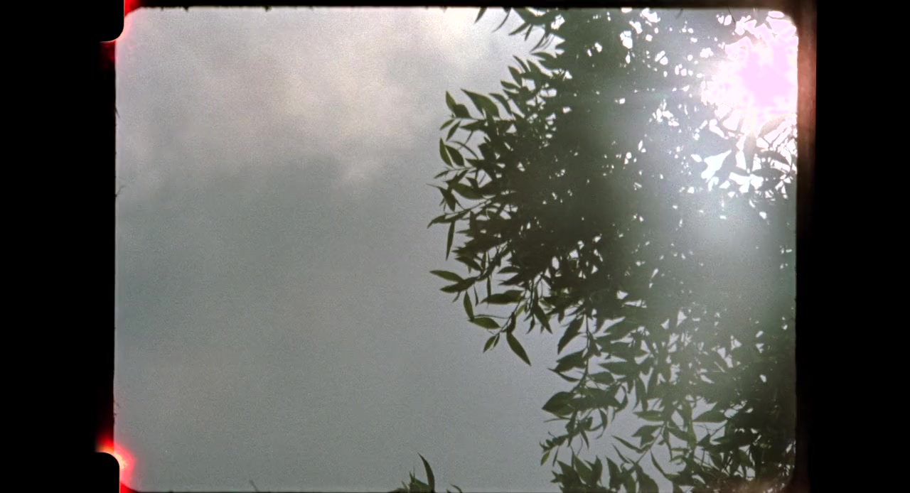 Letting Go of Adele screenshot 3