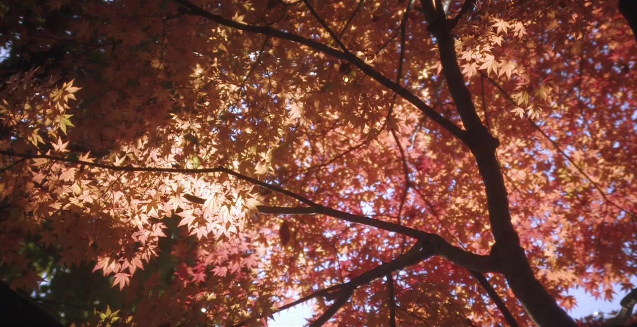 Tenten screenshot 1