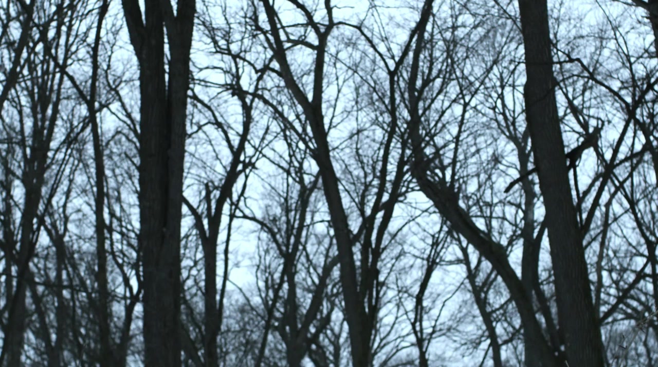 After Effect screenshot 1