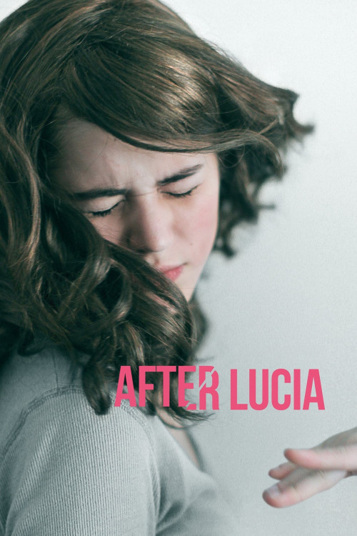 Después de Lucía (2012) poster