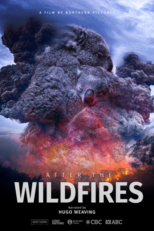 After the Wildfires (2020) poster